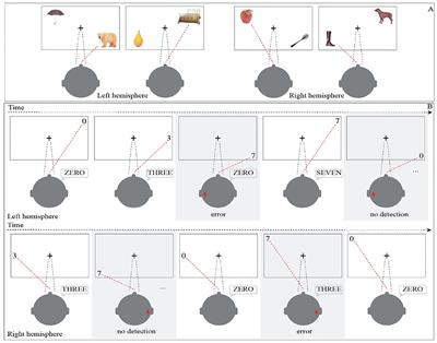 Preserving Visual Functions During Gliomas Resection: Feasibility and Efficacy of a Novel Intraoperative Task for Awake Brain Surgery